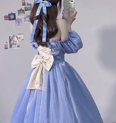 French blue fugitive princess adult dress
